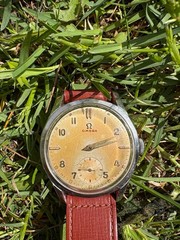 omega 2791-6