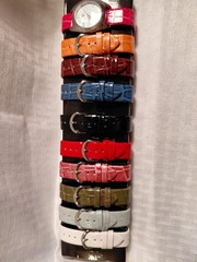 BURGI BTV101 Quartz Watch w/10 Asst. Colors Interchangeable Bands & New Battery