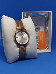 IBSO Boerni Aibisino Women’s Gold Watch