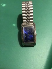 Geneva watch