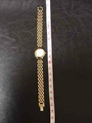 Product: VEGA secret women’s watch (battery replaced)