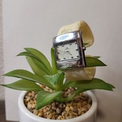 Denacci Watch Ladies Ivory Band Pre-Owned Work Travel Casual School Vintage