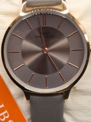 IBSO Boerni Aibisino Womens Watch Grey New S6608L