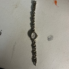 Woman’s Carriage Watch By Timex Needs Battery (b3)