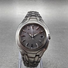 Citizen Eco-Drive Watch Women 25mm Gray Dial Silver Tone Date E011-S049601 RunsS