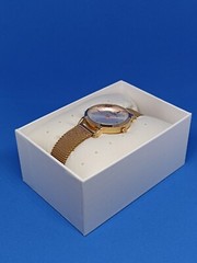 IBSO Boerni Aibisino Women’s Gold Watch