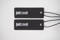 Just Cavalli Eclisse 22mm Quartz Women’s Watch With Silver Dial (JC1L371M0055)
