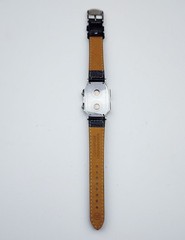 Men’s TRAVELER Watch PHILIP STEIN “Teslar”. Dual Time