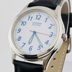Citizen Eco-Drive Dress Watch Solar Mens Wrist 22cm 35mm E031-S048419