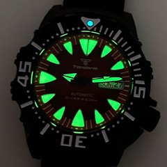 20ATM Diver Tandorio 42mm AR Sapphire Glass Japan NH36 Automatic Men Watch Lume