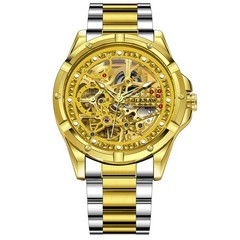 GLENAW men’s automatic mechanical movement watch skeleton luminous pointer dial