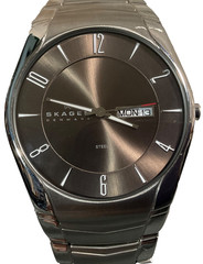 SKAGEN LAURITS 38mm WATCH 531XLSXM1 ALL SS GRAY DIAL DAY-OF-WEEK/ DATE NEW BATT
