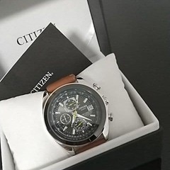 Citizen Watch Band