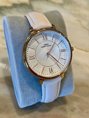 IBSO Boerni Aibisino Women’s Quartz Watch Gold S6606L